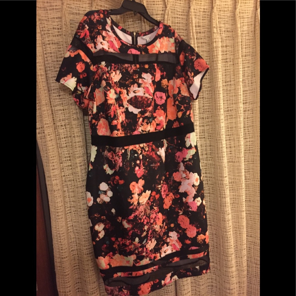 Boutique Dress 🍁3/25🍁